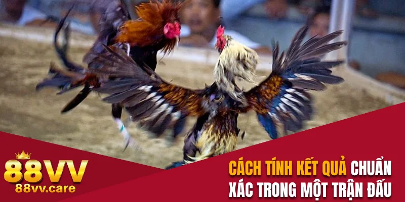 Đá Gà Cựa Sắt - Sân Chơi Kịch Tính Với Trận Đấu Hấp Dẫn 3 Cách tính kết quả chuẩn xác trong một trận đấu