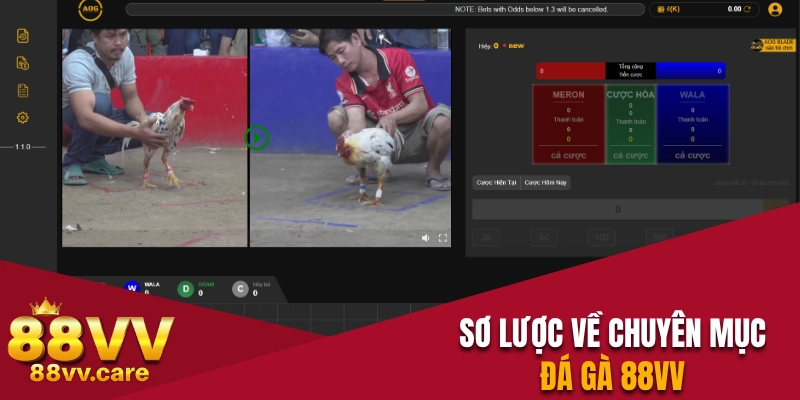 Sơ lược về chuyên mục đá gà 88VV
